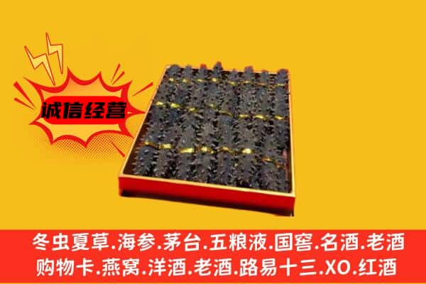 九江市回收海参